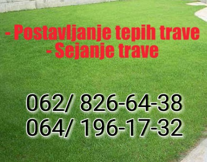 Sejanje trave - Postavljanje tepih trave