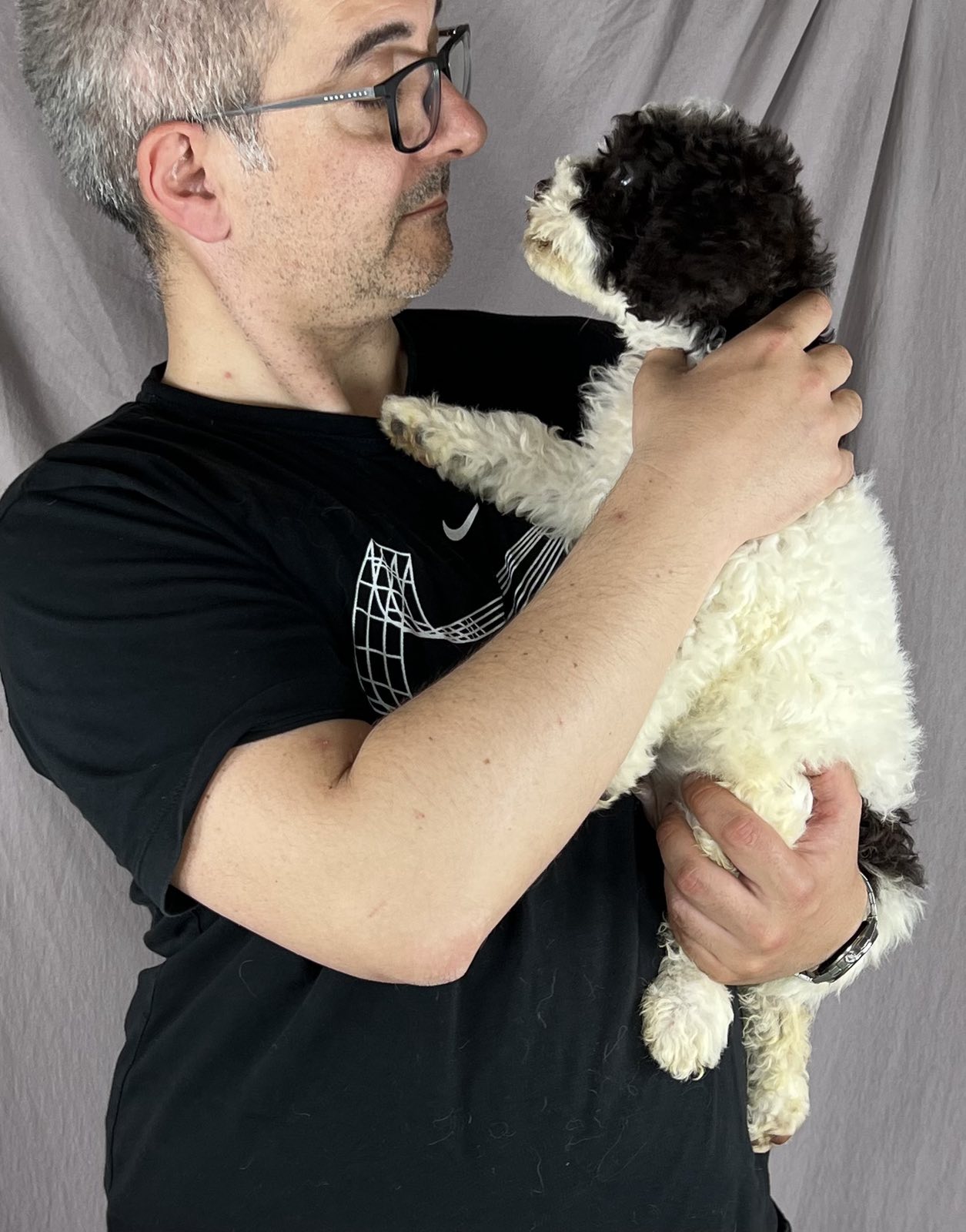 Lagotto Romagnolo PRELEPI štenci