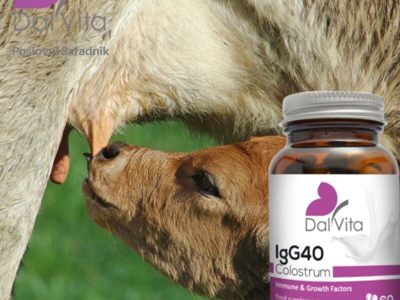 Colostrum IgG40-Najbolje za imunitet