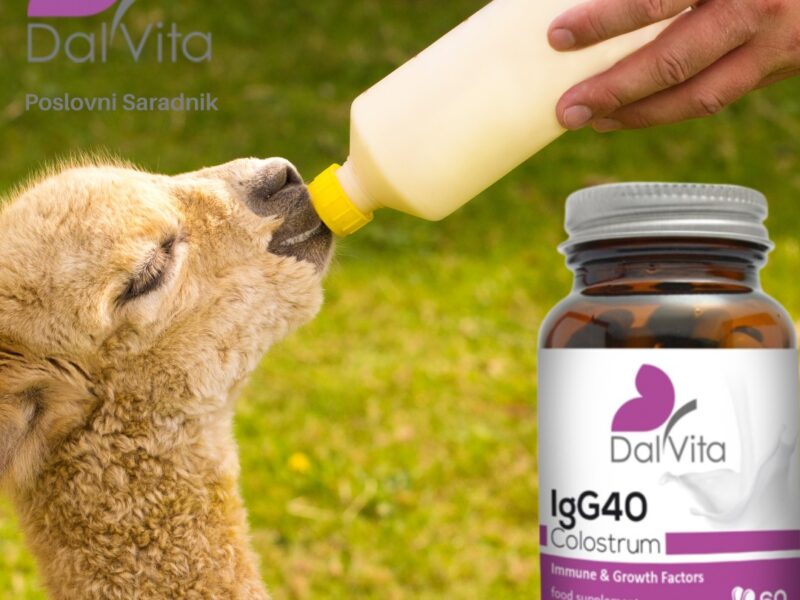 Colostrum IgG40-Najbolje za imunitet