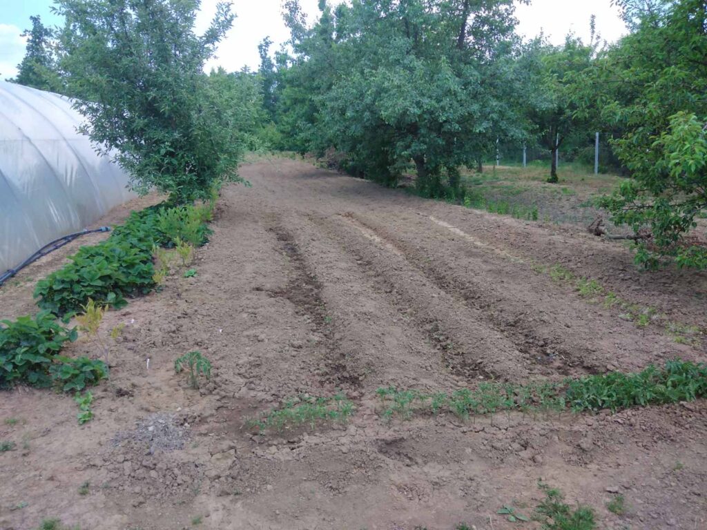 Prodajem kucu sa poslovnim prostorom Arandjelovac-Banja