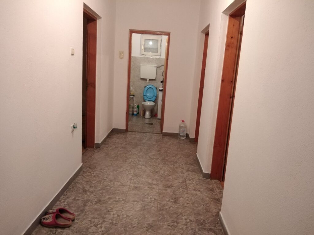 Prodajem kucu sa poslovnim prostorom Arandjelovac-Banja
