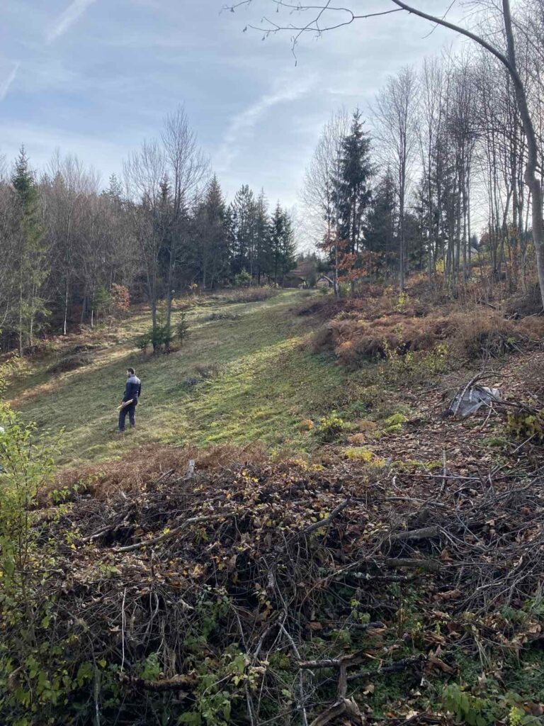 Plac na planini Tara-Oslusa