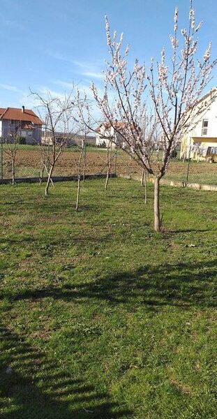 Kuća u Bečmenu, opština Surčin