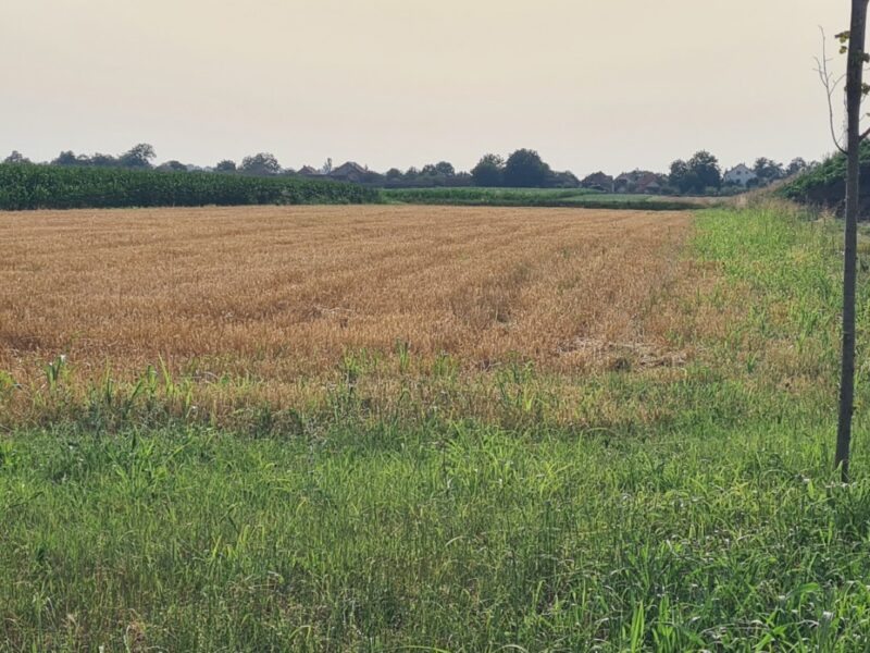 Gradjevinsko zemljiste Sremska Mitrovica