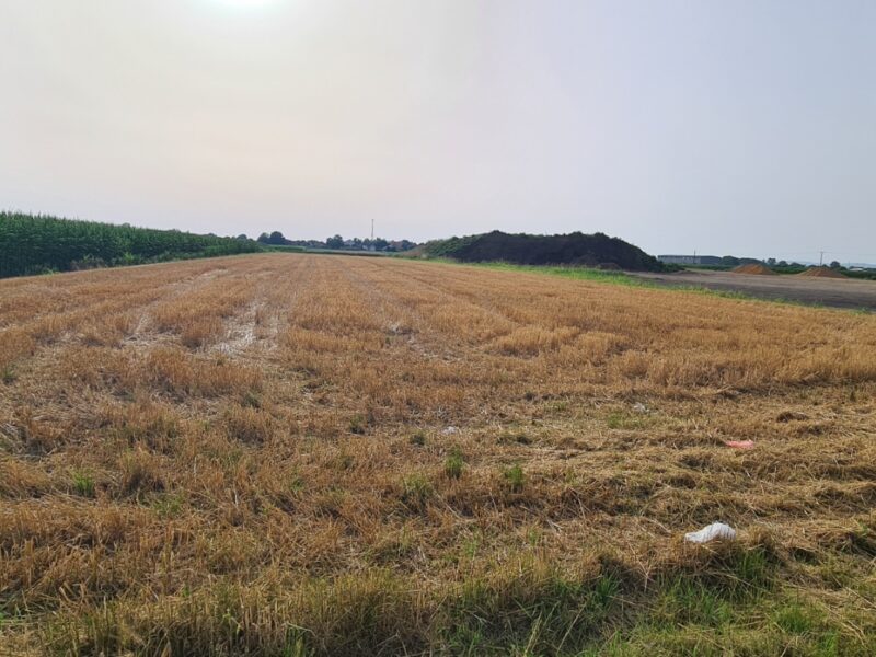 Gradjevinsko zemljiste Sremska Mitrovica