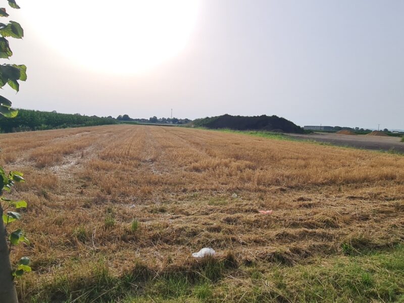 Gradjevinsko zemljiste Sremska Mitrovica