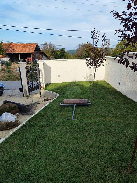 Tepih trava i zalivni sistemi