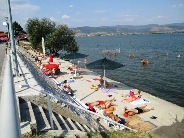 Odmor u Vincima, na Dunavu, u borovoj šumi, povoljno