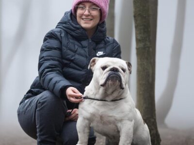 Engleski buldog