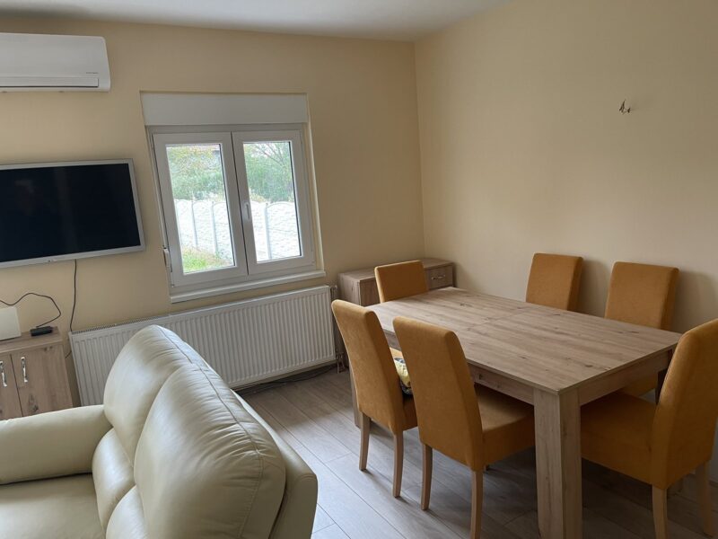 Borča, 120m2, na prodaju nova nameštena kuća