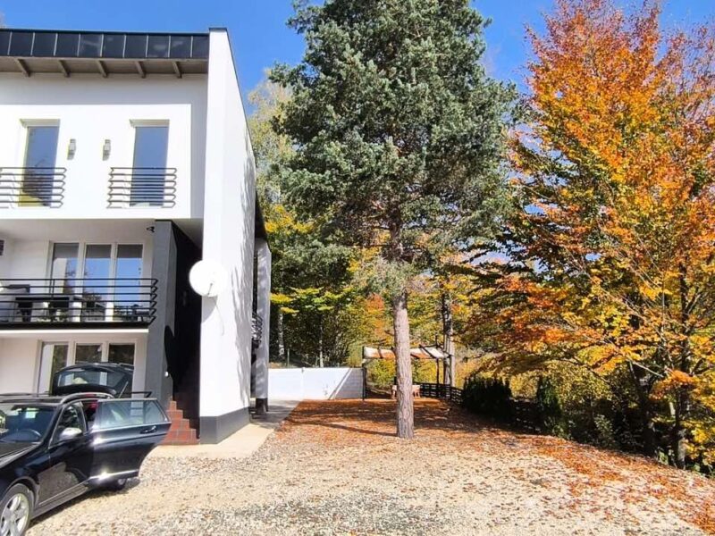 Zlatibor – Moderna kuća sa dodatnom stambenom jedinicom, Zova