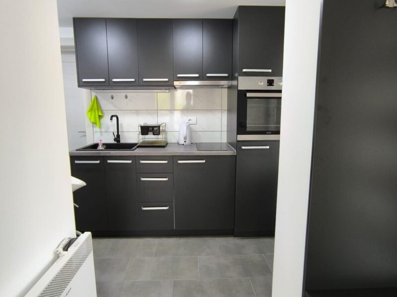 Zlatibor – Moderna kuća sa dodatnom stambenom jedinicom, Zova