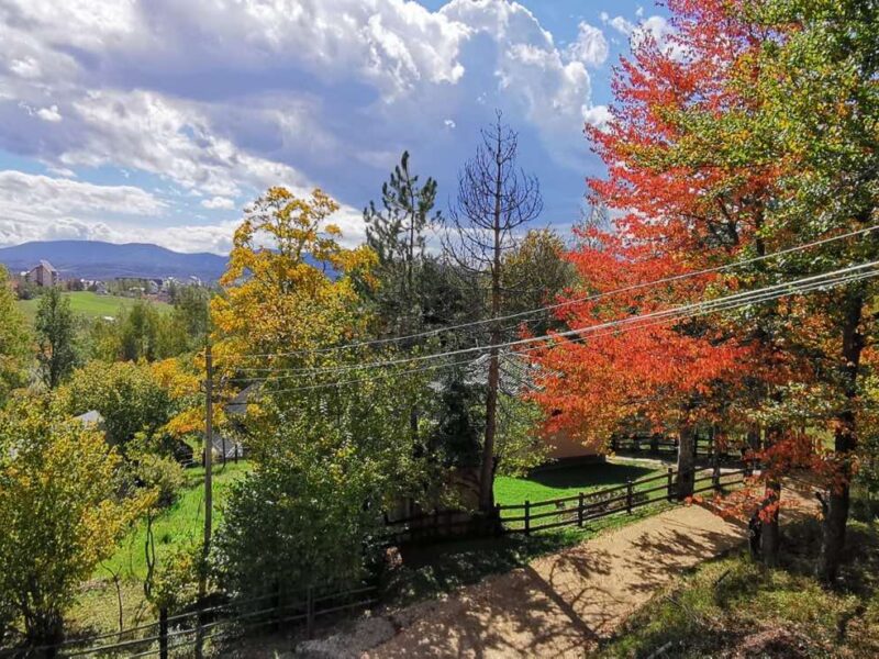 Zlatibor – Moderna kuća sa dodatnom stambenom jedinicom, Zova