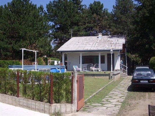 Odmor na Dunavu u borovoj šumi, povoljno