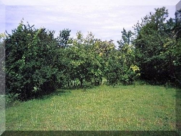 Danilovgrad-Crna Gora