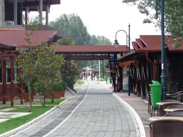 Odmor na Dunavu u borovoj šumi, povoljno