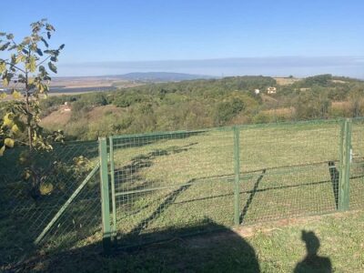 Plac, Novi Slankamen