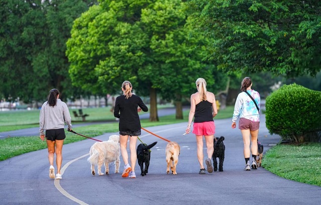 Potreban radnik u prihvatilištu za pse