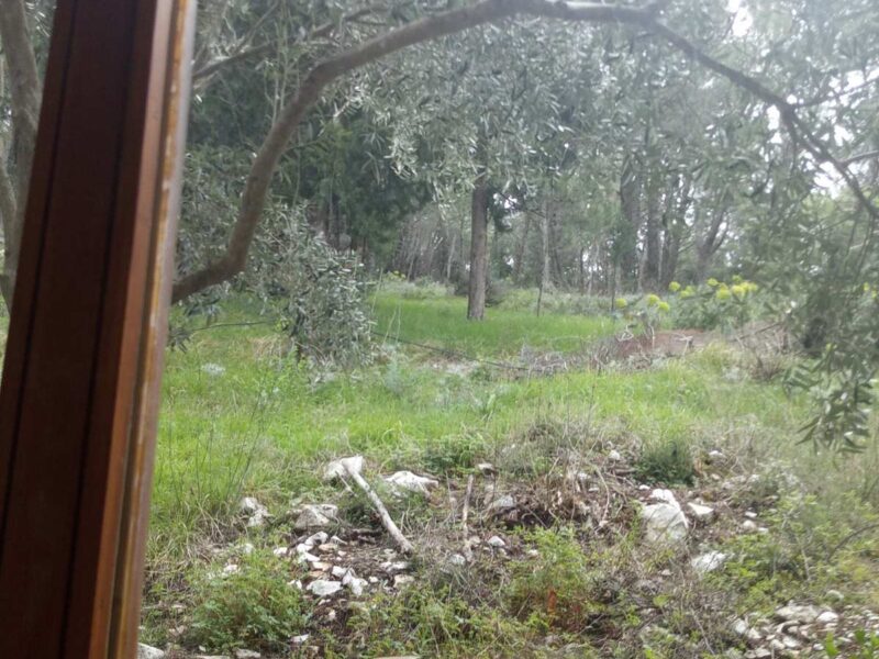 Odlicna kuca na Policama, Trebinje