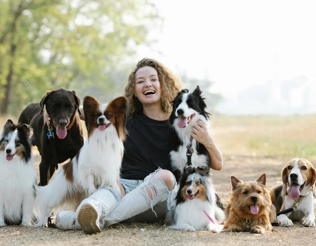 Potreban radnik u prihvatilištu za pse