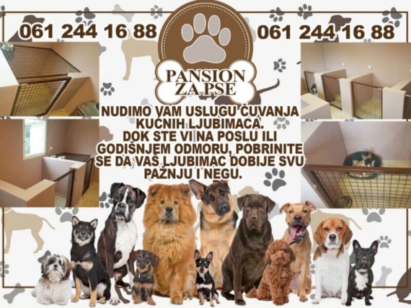 Pansion za pse - Subotica