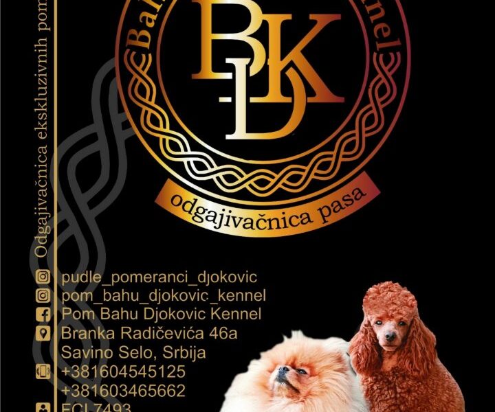 Toy i Mini Pudla stenci