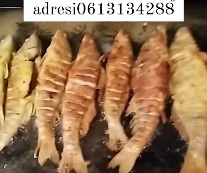 Prodaja ribe
