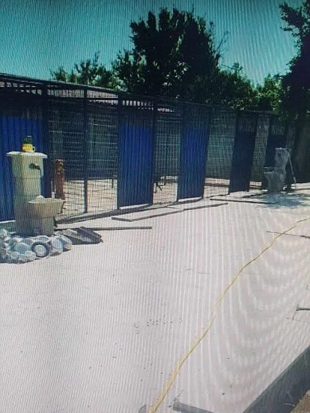 Potreban radnik u prihvatilištu za životinje