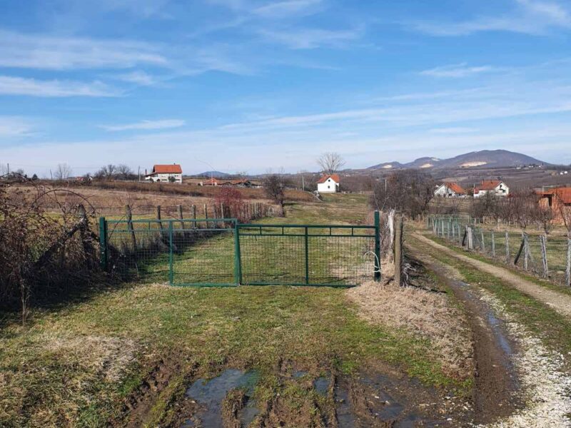 Topola-Gornja Šatornja, njiva 353 ara