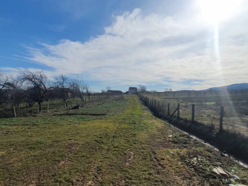 Topola-Gornja Šatornja, njiva 353 ara