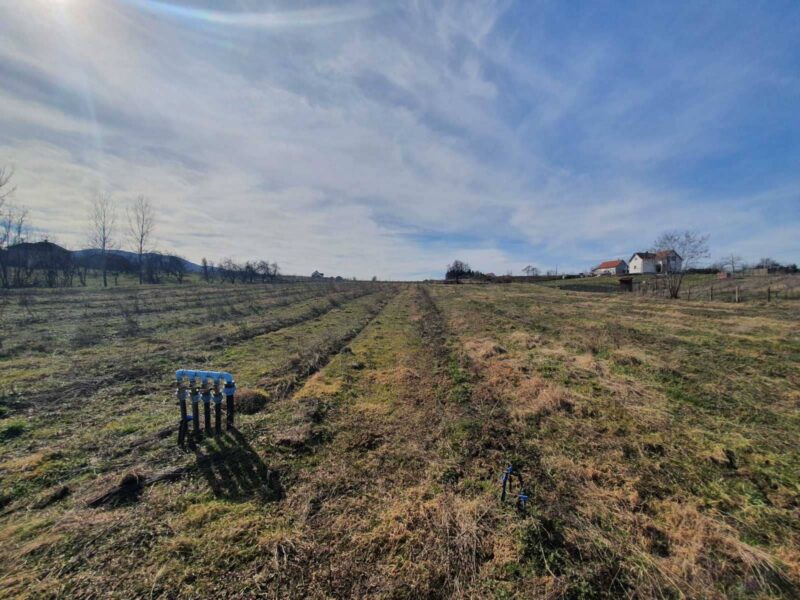 Topola-Gornja Šatornja, njiva 353 ara