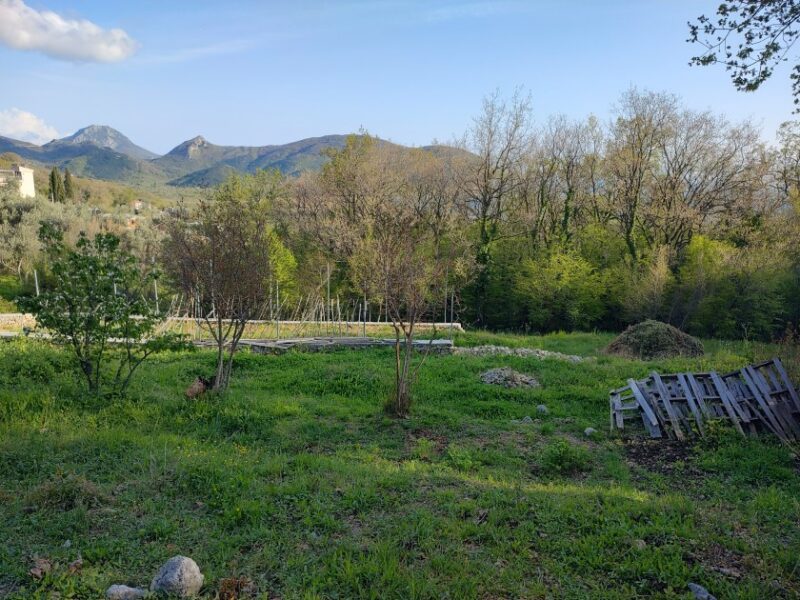 Prodajem plac u Buljarici