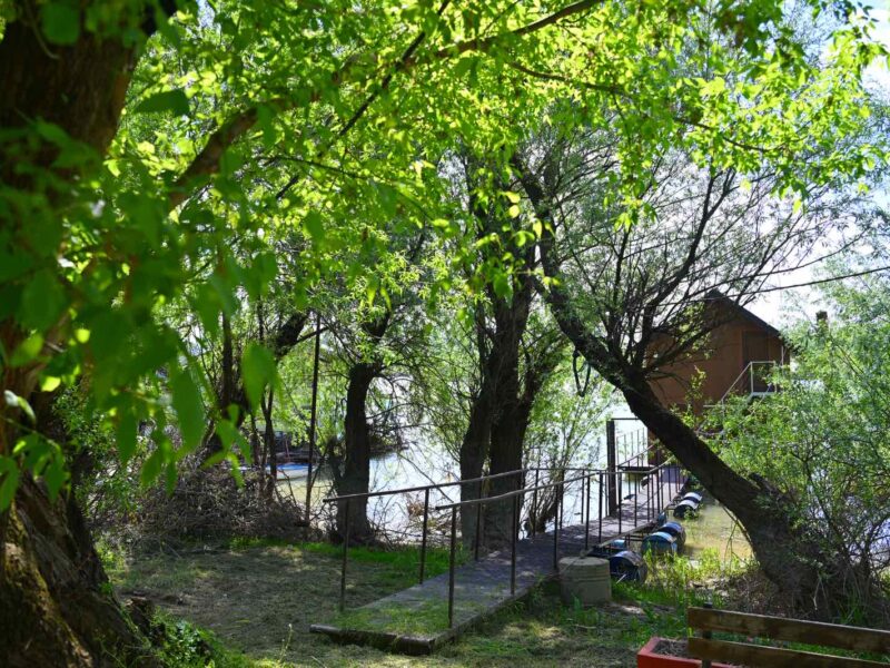 Prodajem splav u Ostružnici na odličnoj lokaciji