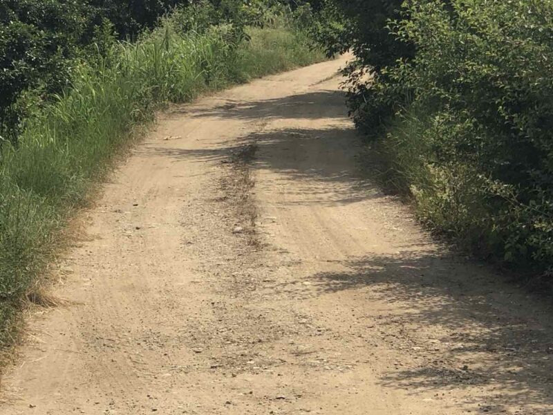 Na prodaju vrhunski voćnjak trešnje 3 ha – Kolari kod Smedereva