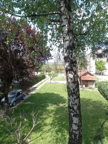 Avala, blizu megamarketa Koka Mar, 200 m2