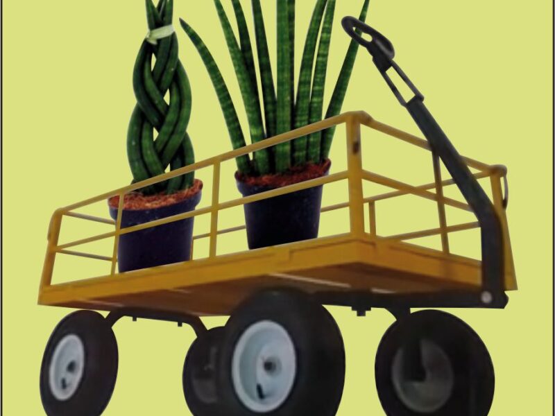 Rucna transportna kolica