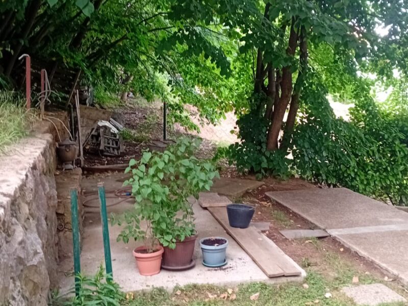 Avala, blizu megamarketa Koka Mar, 200 m2